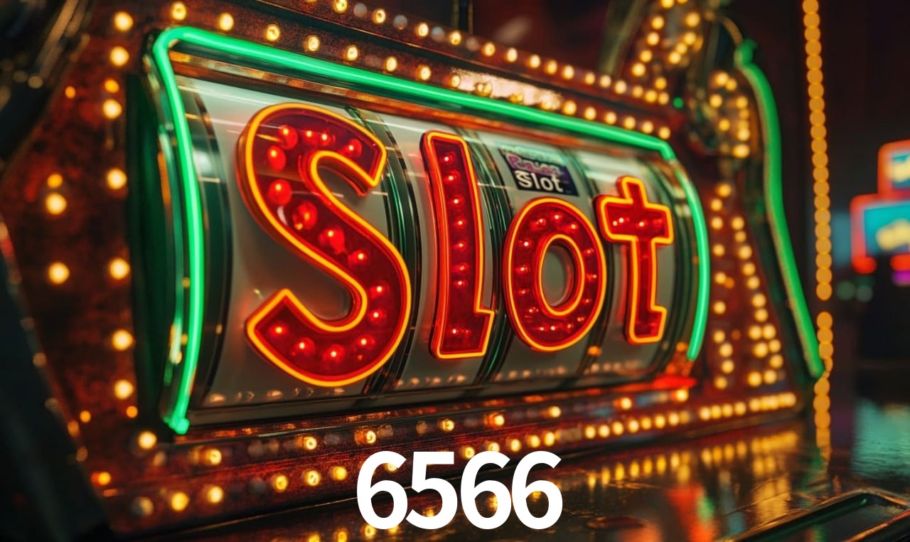 6566